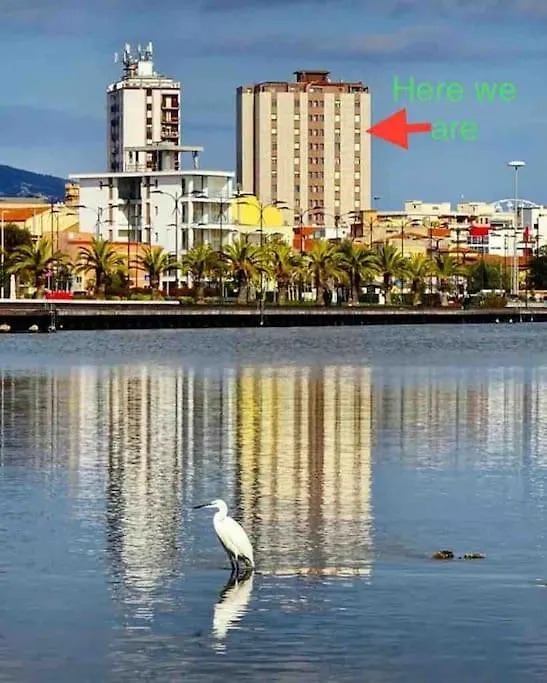 Mv Home Olbia Apartment